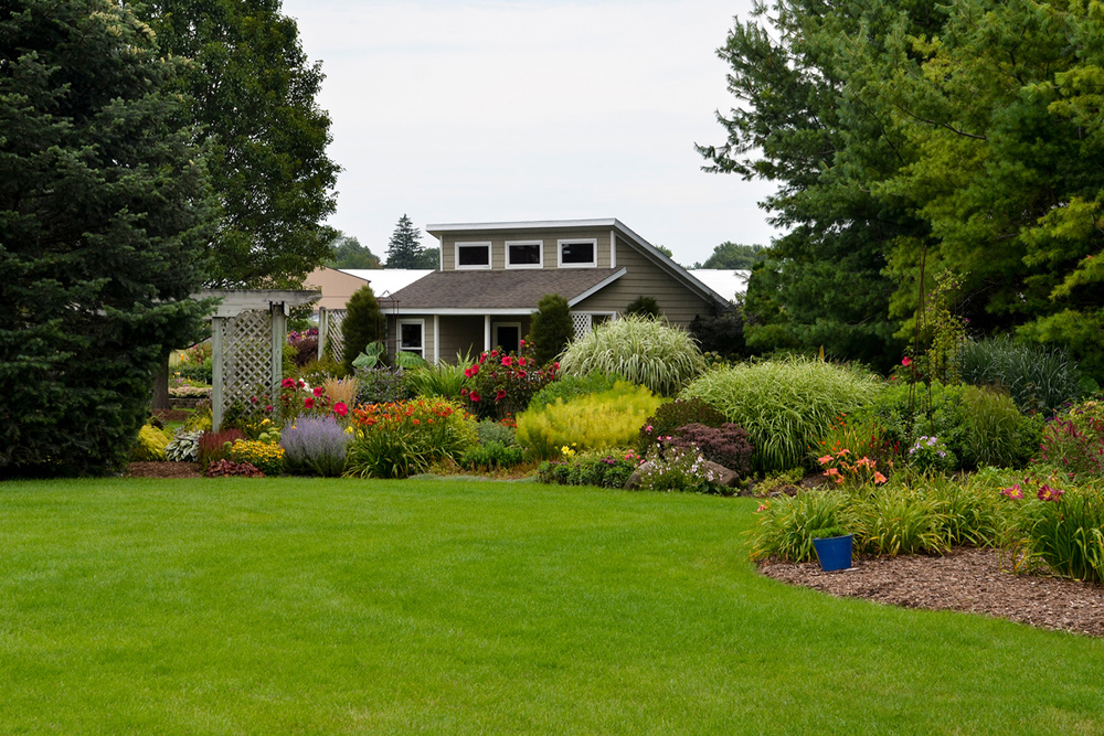 Drought watering priorities