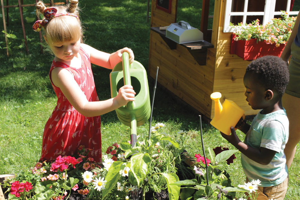 Saving garden plants in drought