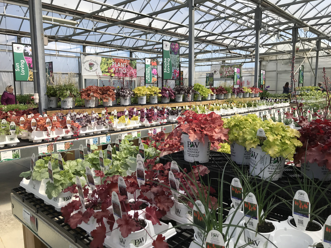 online plant nurseries