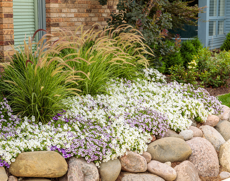 all-season plant pairings