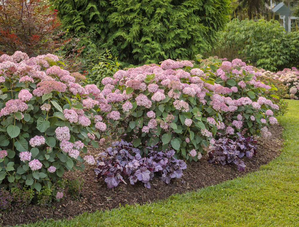 all-season plant pairings