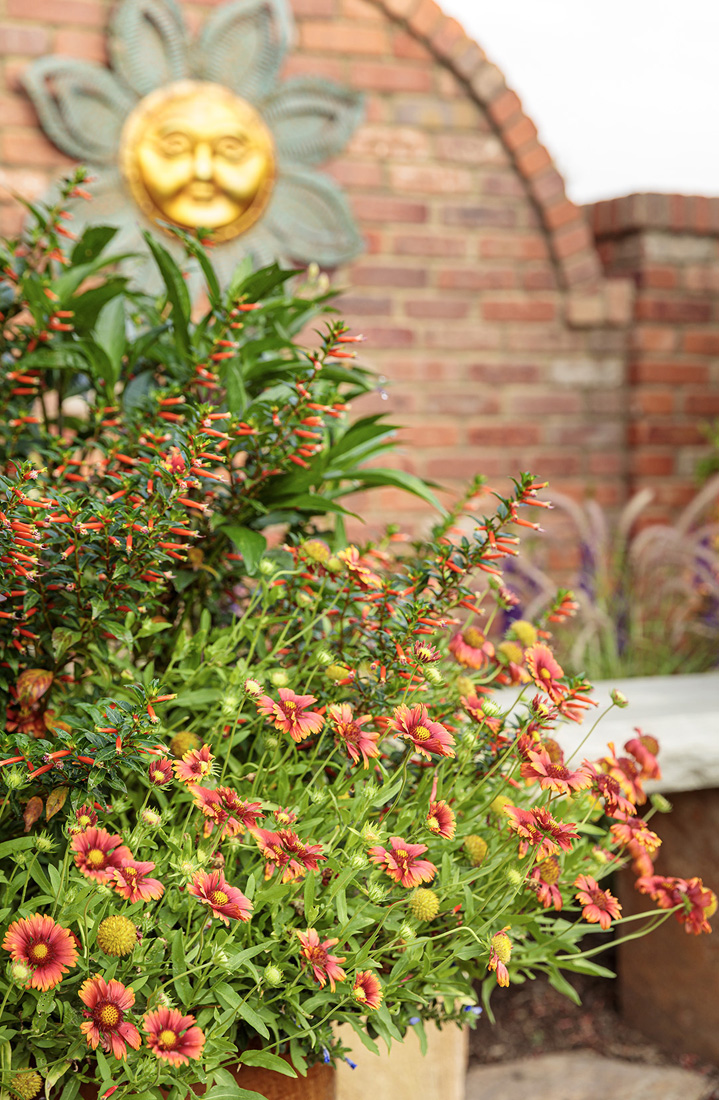 long-blooming garden combos