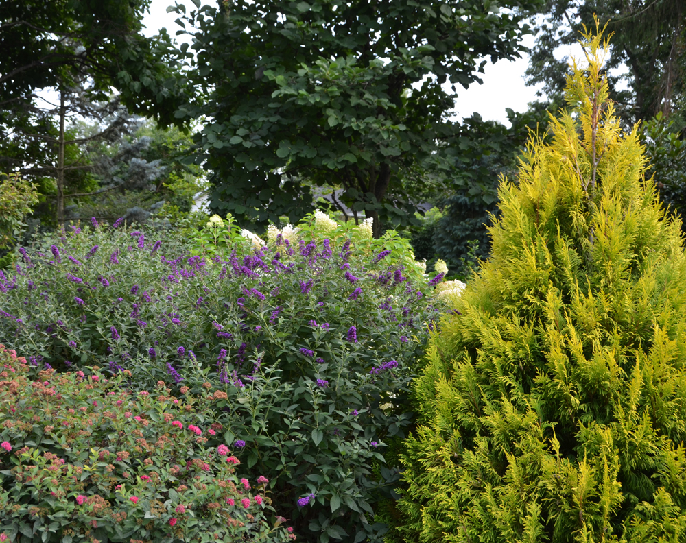 spring to fall flowers