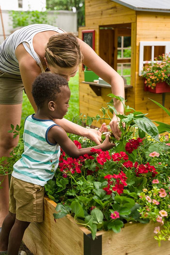 summer learning loss