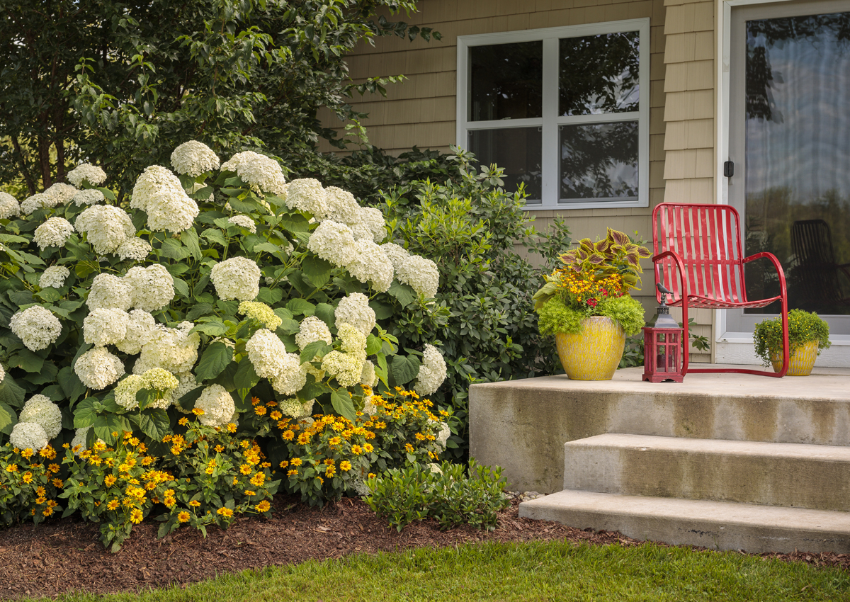 planting trees and perennials