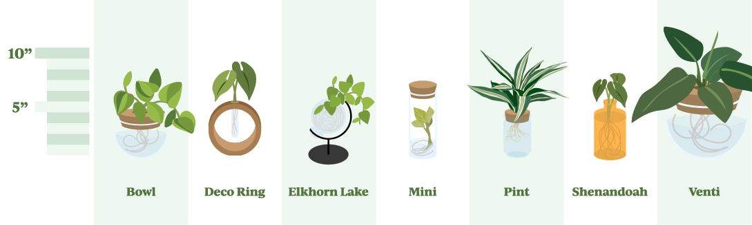 leafjoy h2o illustrations