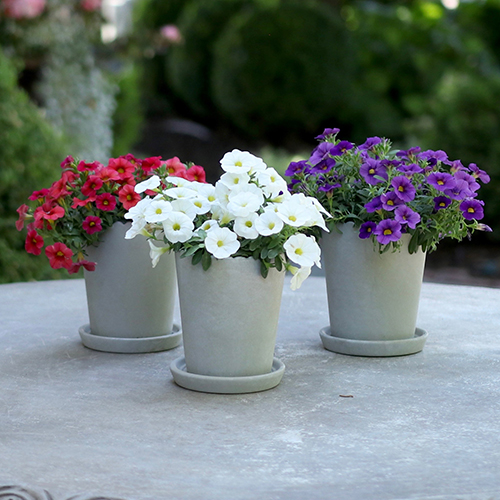 small flower pots
