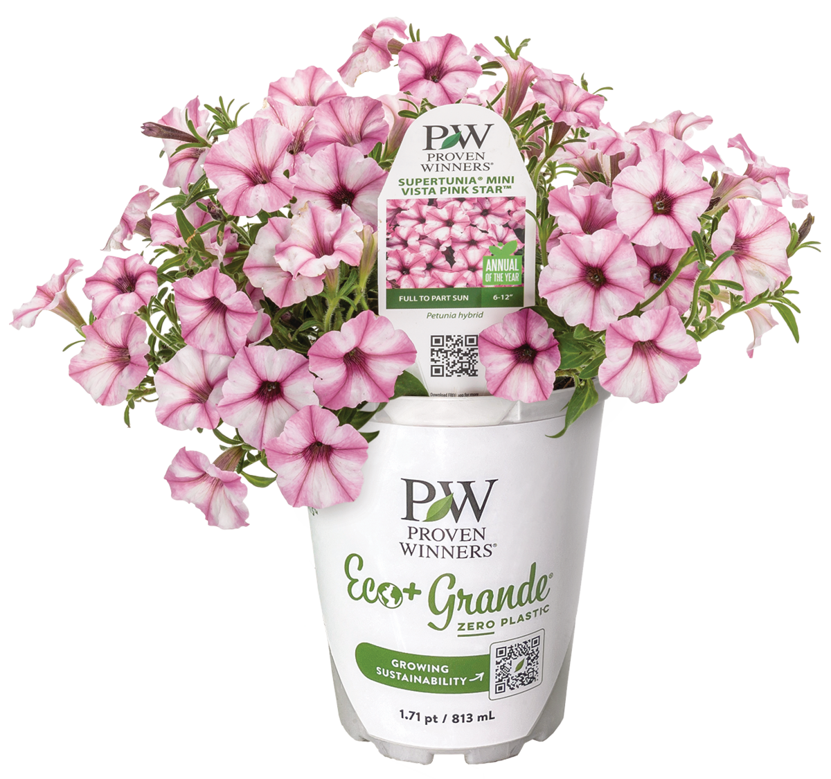 eco_grande_container_example