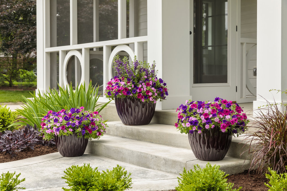 sunny porch pots