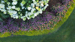 smallscapes-3up