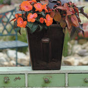 DSCF4821.jpg