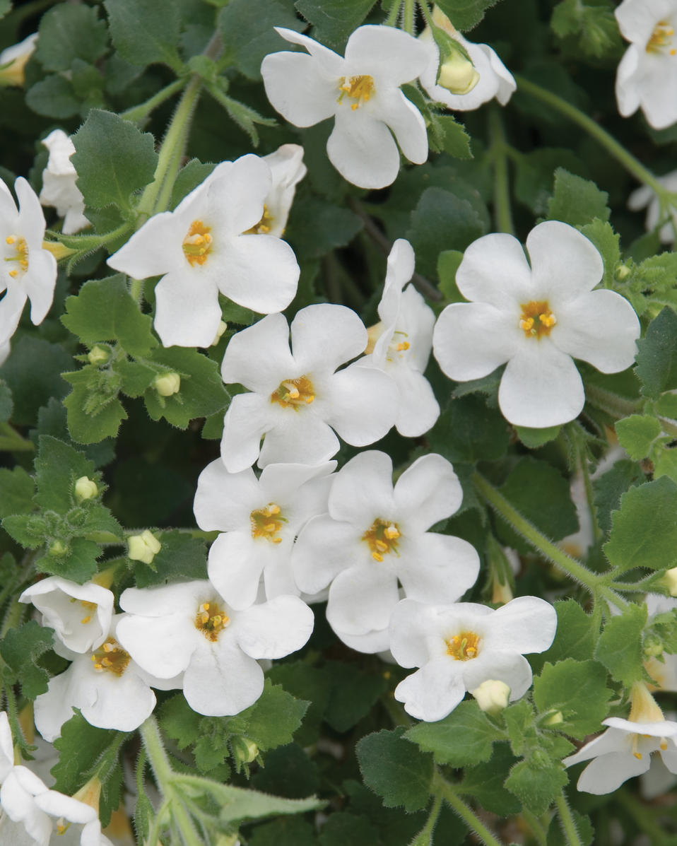 301 Moved Permanently