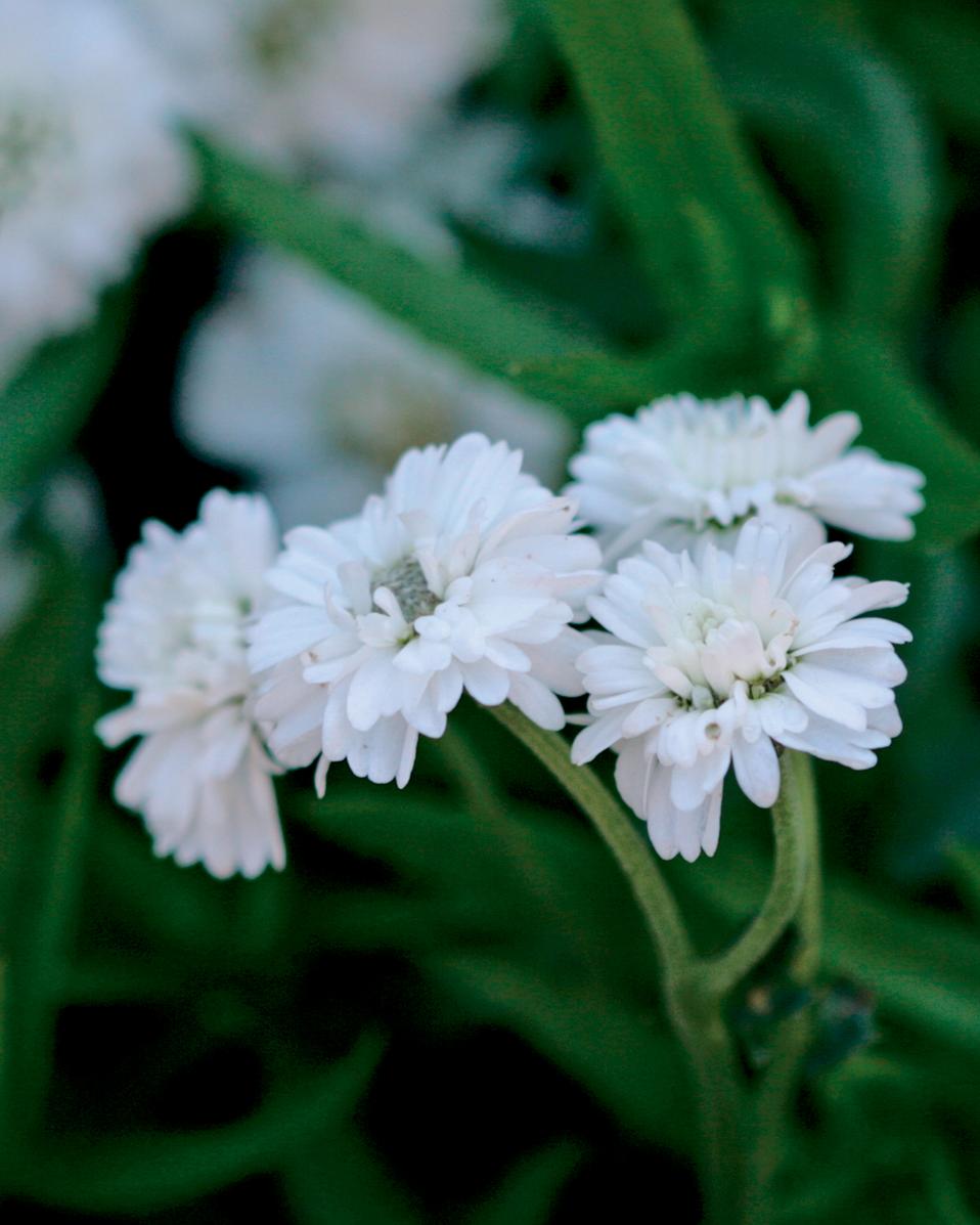 301 Moved Permanently