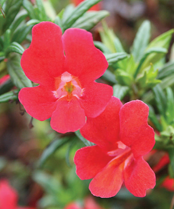 301 Moved Permanently