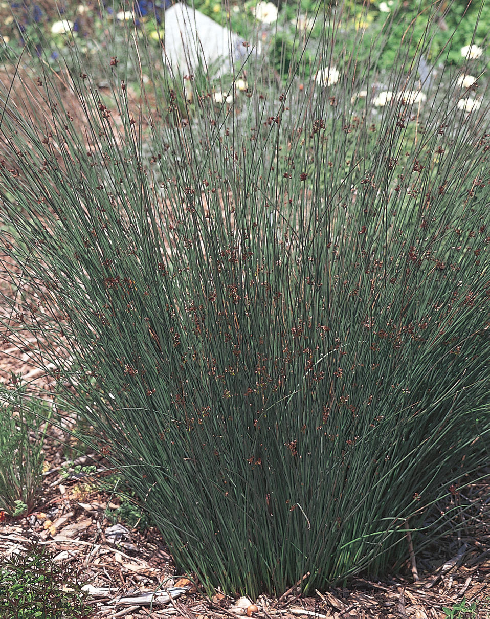 301 Moved Permanently