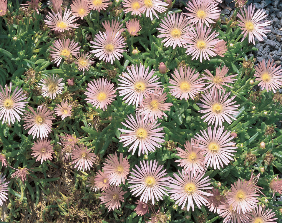 301 Moved Permanently