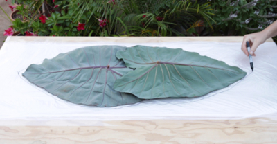 Colocasia Leaf Bird Bath step 2