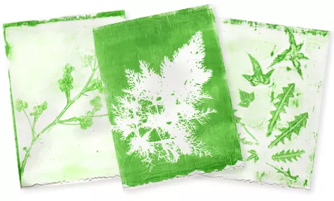Gelatin Print