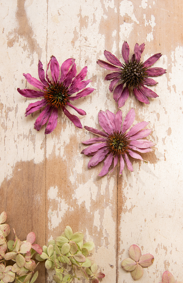 silica dried flowers