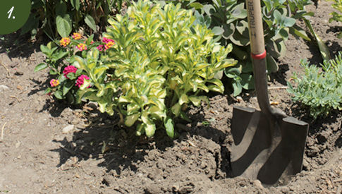 Dig Post Holes