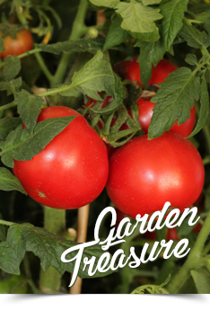 garden teasure