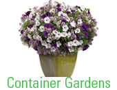 Container Gardens