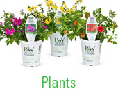 Shop for Plants