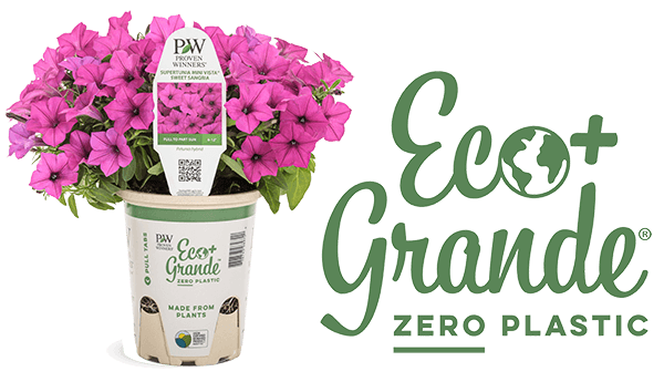 Eco Grande - Zero Plastic