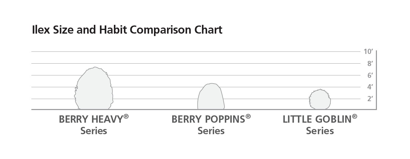 Holly Pollination Chart