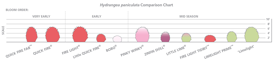 chart, bubble chart