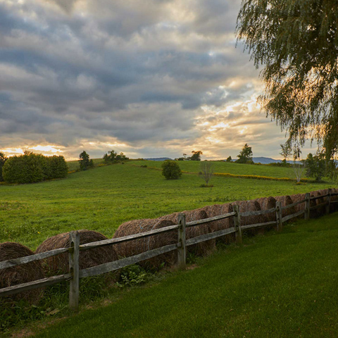 beekman farm hay barrels