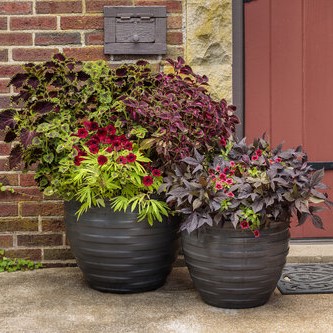 container-gardens