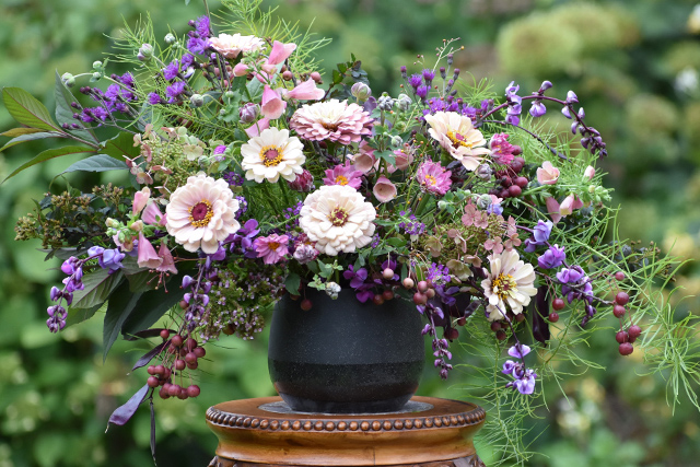 Sunny porch office with potted plants
