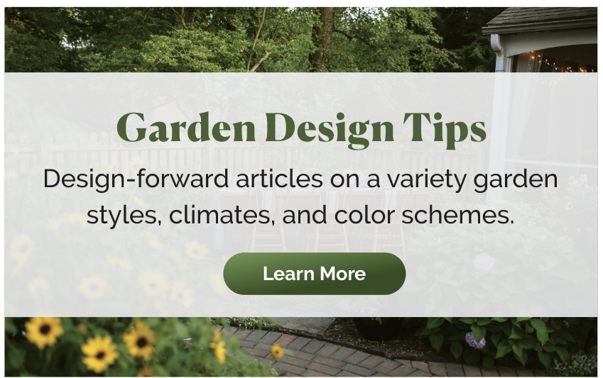 Garden Design Tips