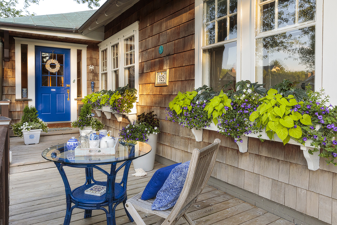 Annuals for In-Between Sun/Shade Spaces