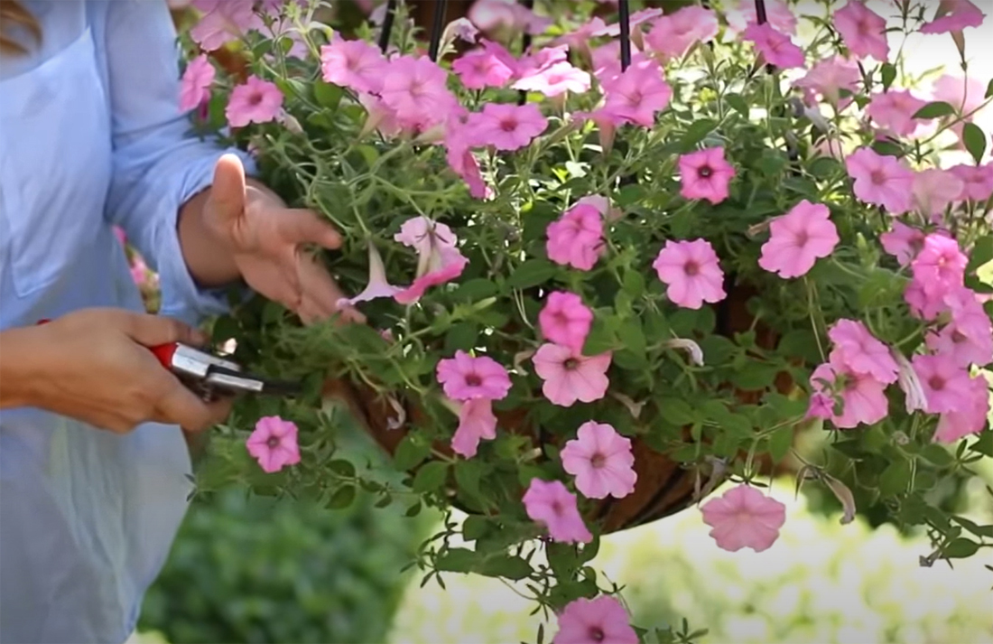 Garden mulching tips,