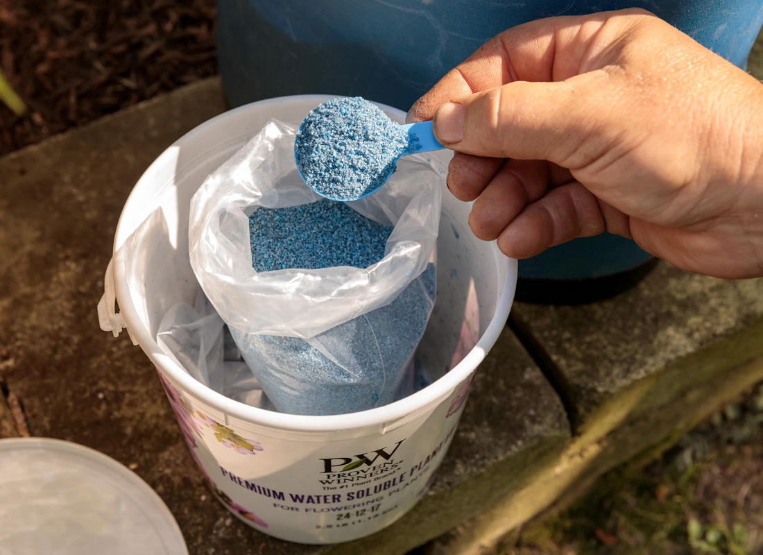 Feeding your plants regularly with water soluble fertilizer