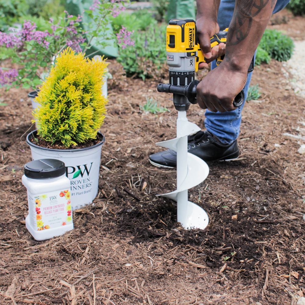 Planting spring bulbs