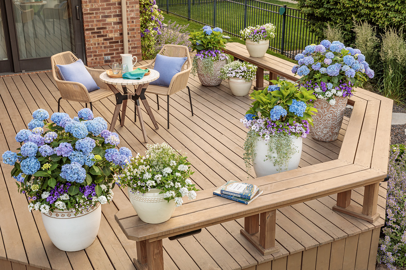 https://www.provenwinners.com/sites/provenwinners.com/files/2019/images/hydrangea_patio_019.jpg