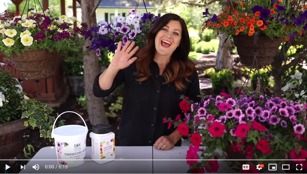 Best Hanging Basket Plants