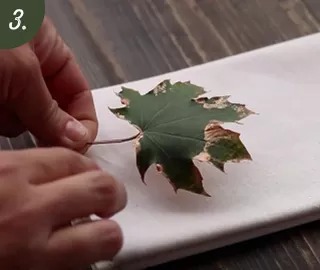 A Guide To Mindful Gardening