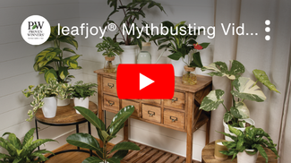 leafjoy Houseplant Mythbusting Series