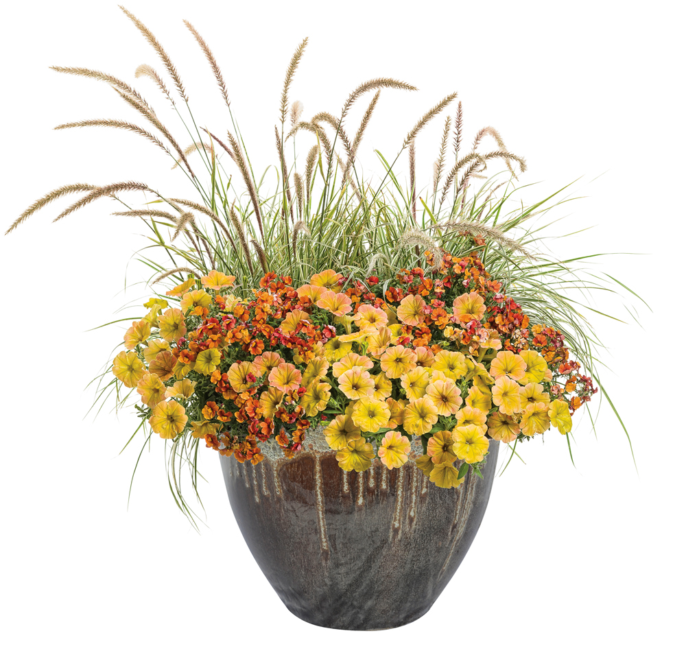 seasonal curb appeal