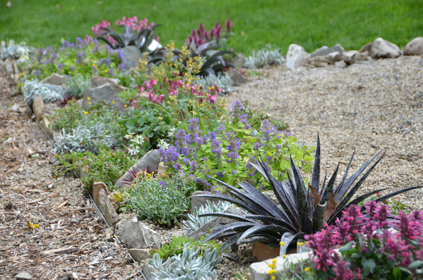 Step-by-step construction of a crevice garden using vertical flagstone slabs and gritty soil.