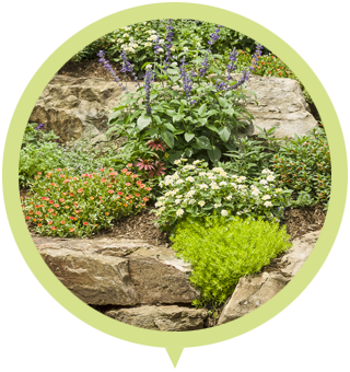 slope garden area