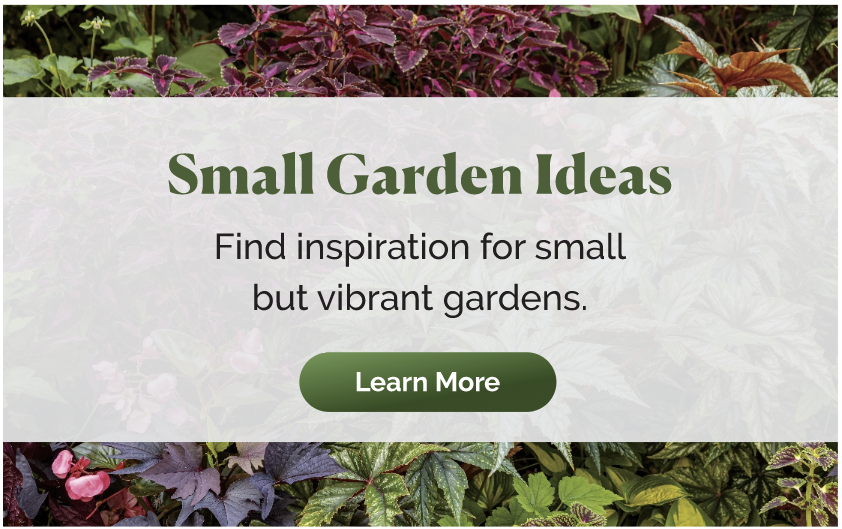 Small Gardens Idea Book