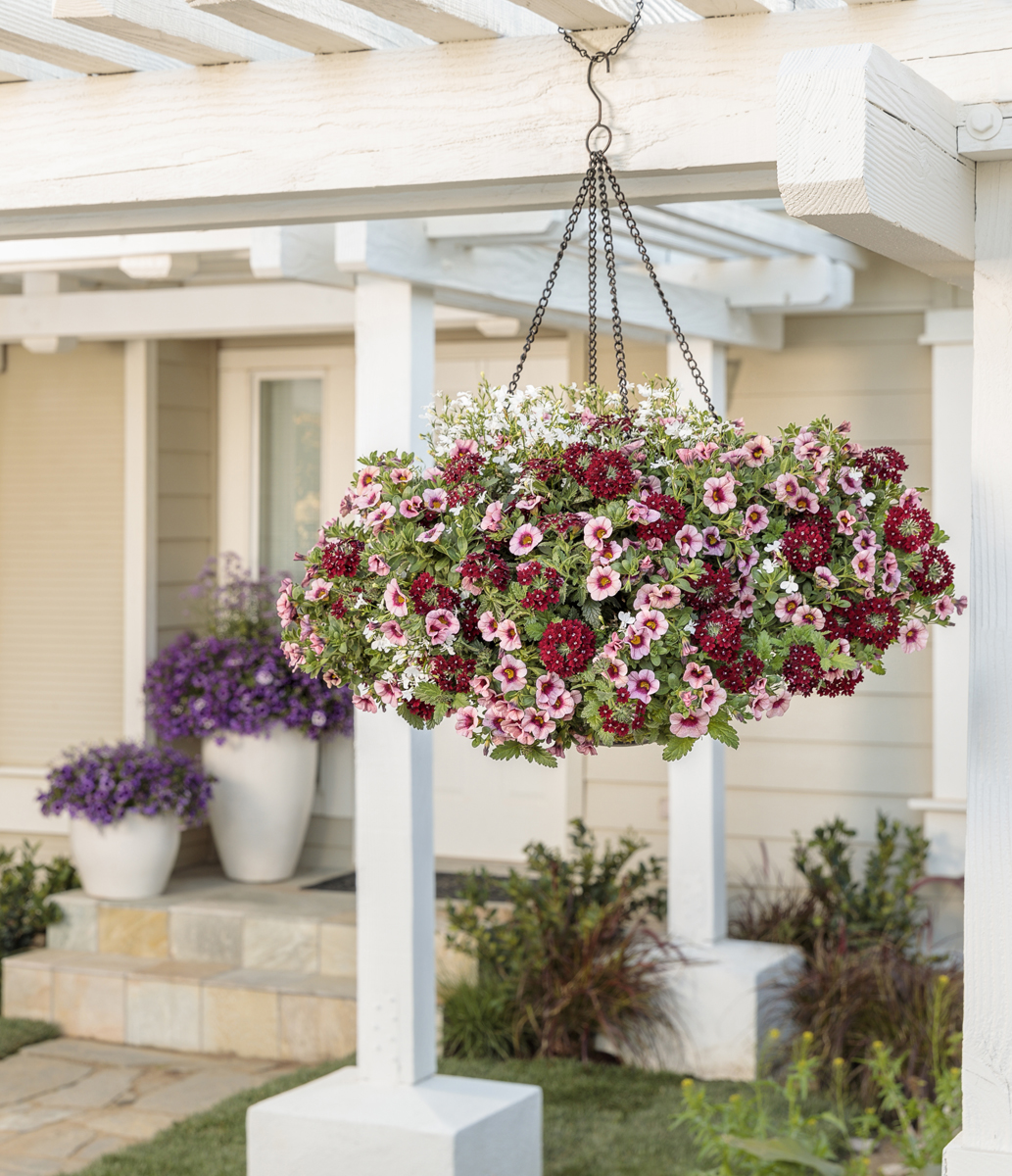 Hanging Basket Care