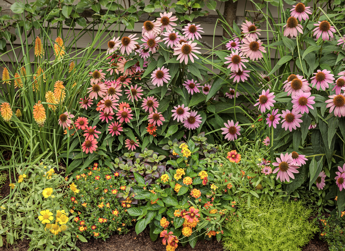 3 Tips for Gardening Smarter This Spring