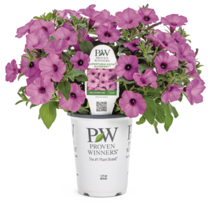 Find local garden centers selling Proven Winners plants by zip code