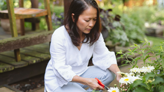 potager-garden